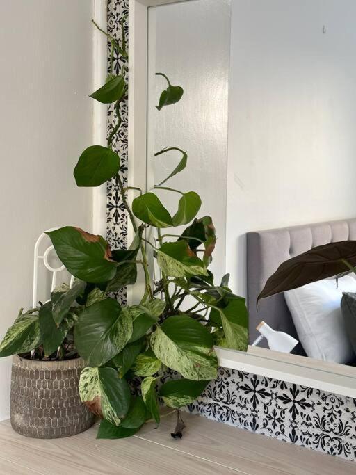 Apartment Perfect Cosy Beachside Escape *